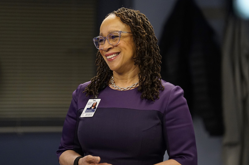 Toussaint L. Jones Wikipedia, Biography, Age, B S. Epatha Merkerson Husband